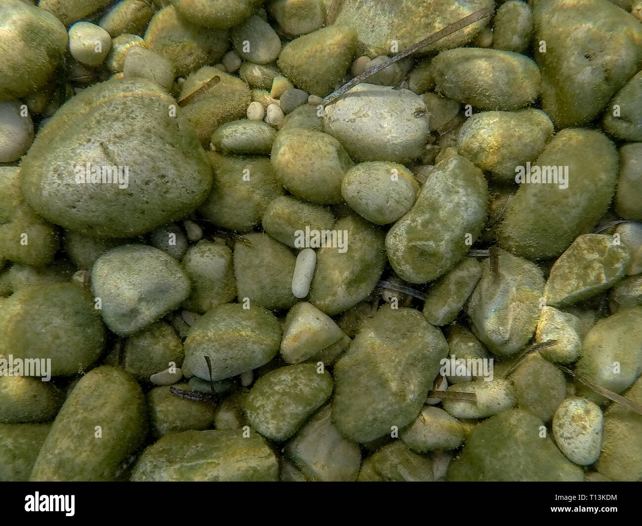 Pietre ghiaia sul pavimento del mare Foto Stock