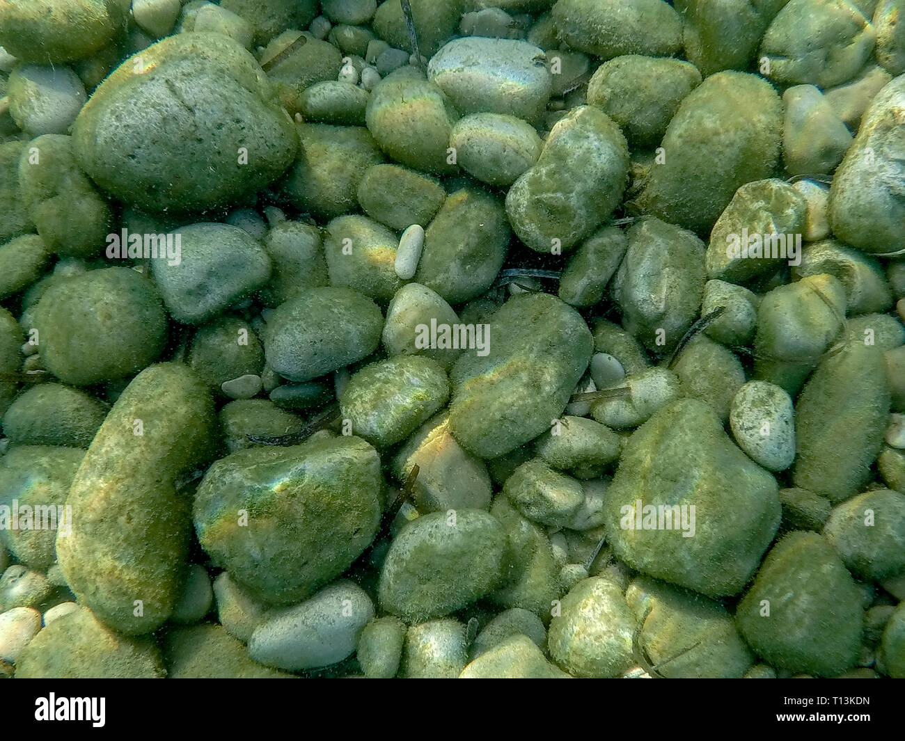 Pietre ghiaia sul pavimento del mare Foto Stock