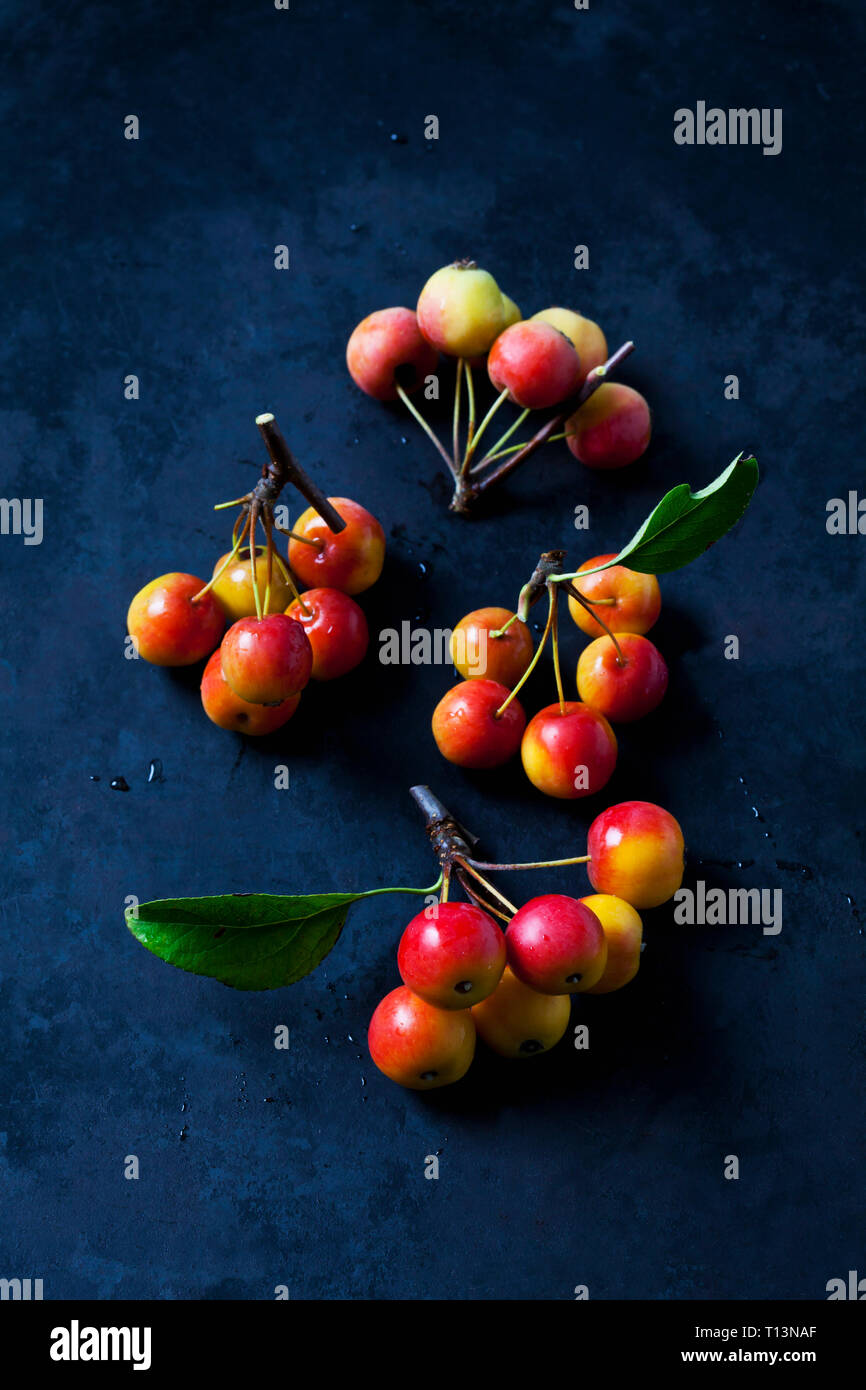 Granchio rosso mele Foto Stock
