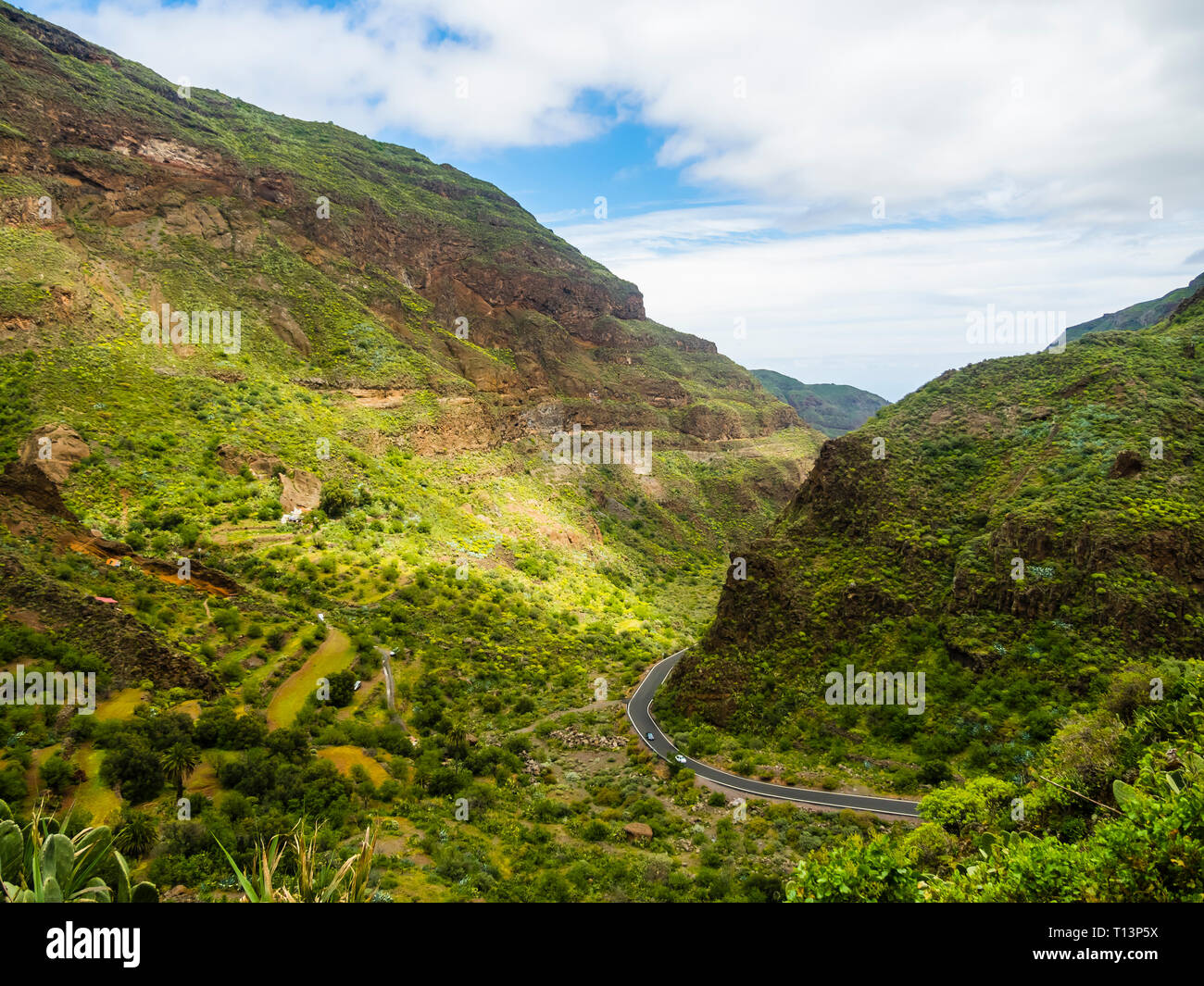 Spagna isole canarie Gran Canaria, Barranco de Guayadeque Foto Stock