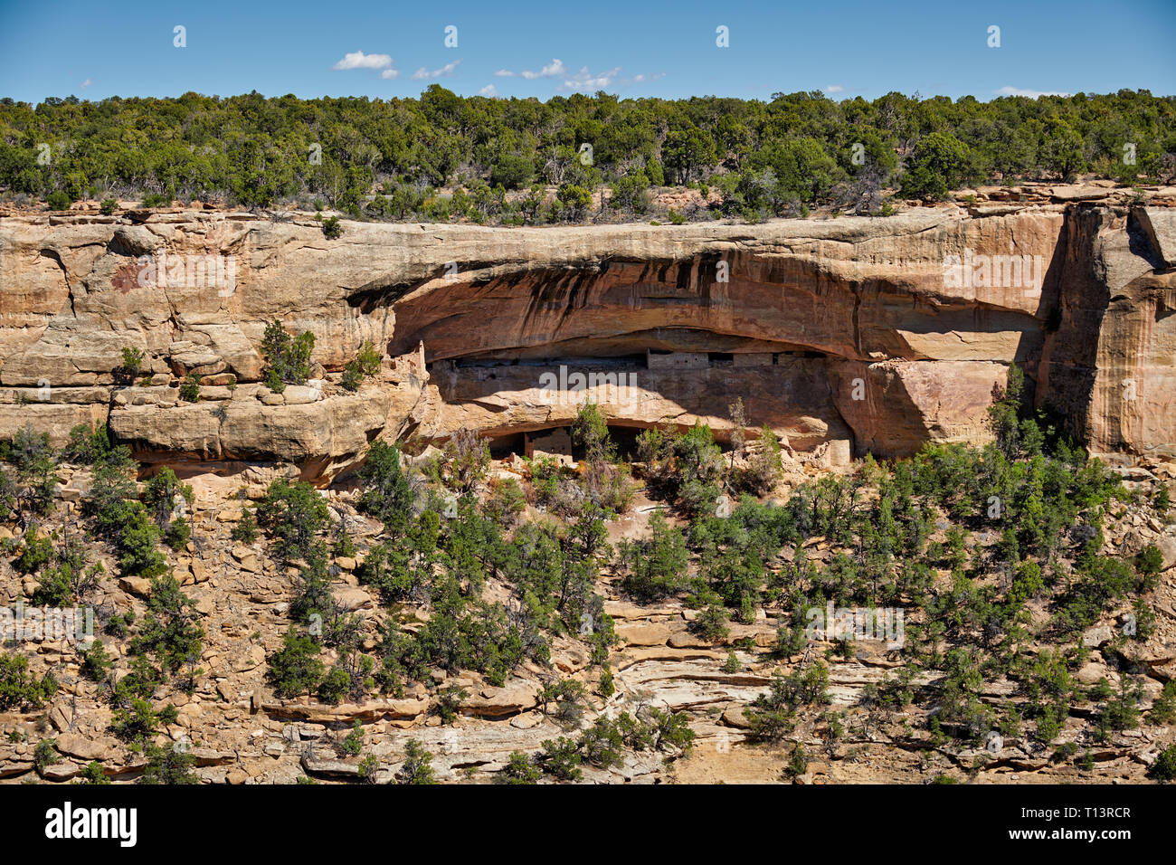 Cliff Dwellings in Mesa-Verde-Parco Nazionale, sito patrimonio mondiale dell'UNESCO, Colorado, Stati Uniti d'America, America del Nord Foto Stock