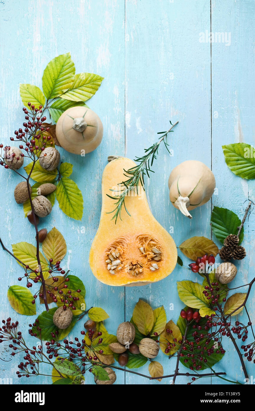 Disposizione autunnali con butternut zucche, rosmarino, dadi, cinorrodi e foglie di autunno Foto Stock