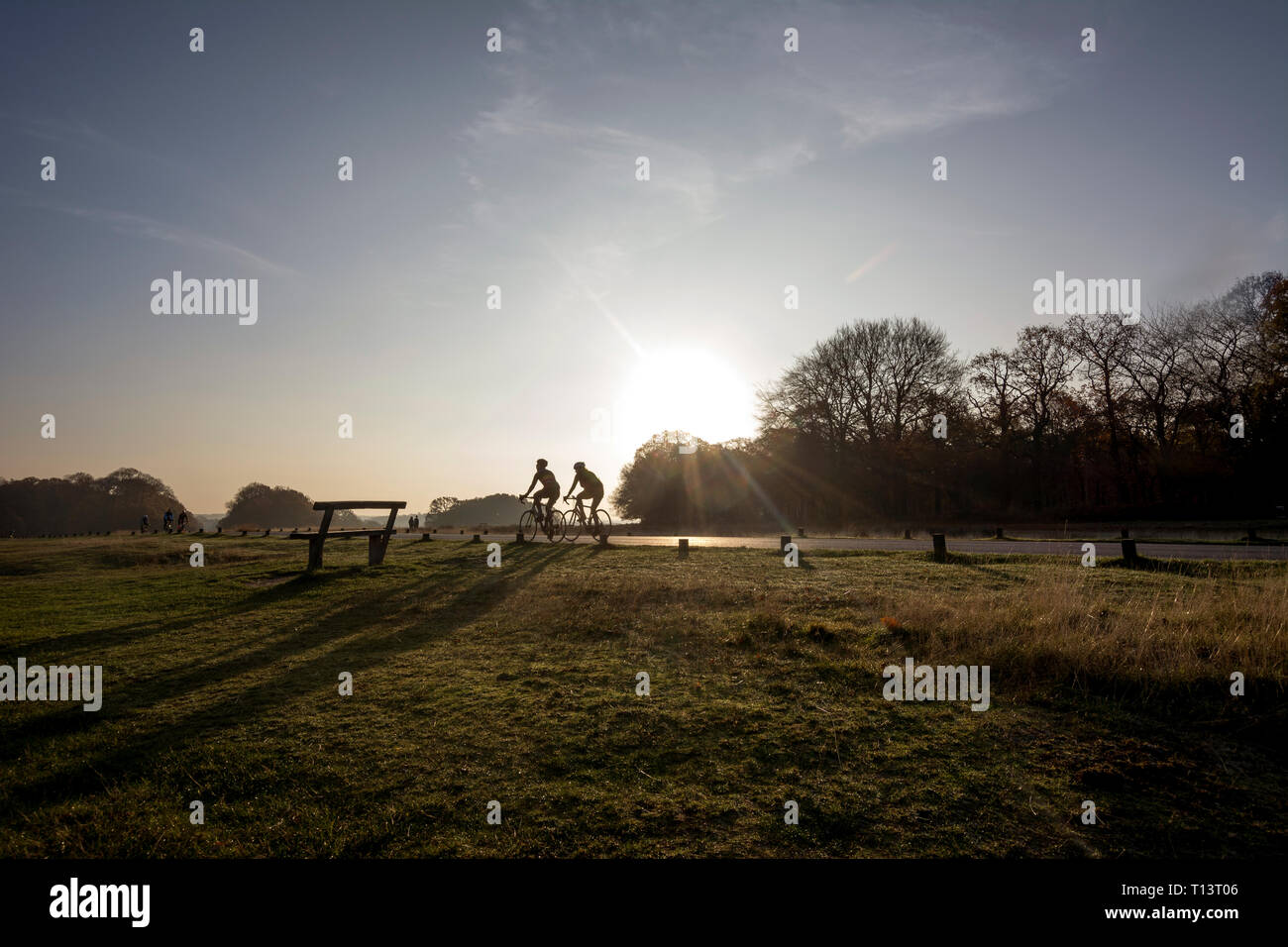 Regno Unito, Inghilterra, Londra, i ciclisti in Richmond Park contro il sole di mattina Foto Stock