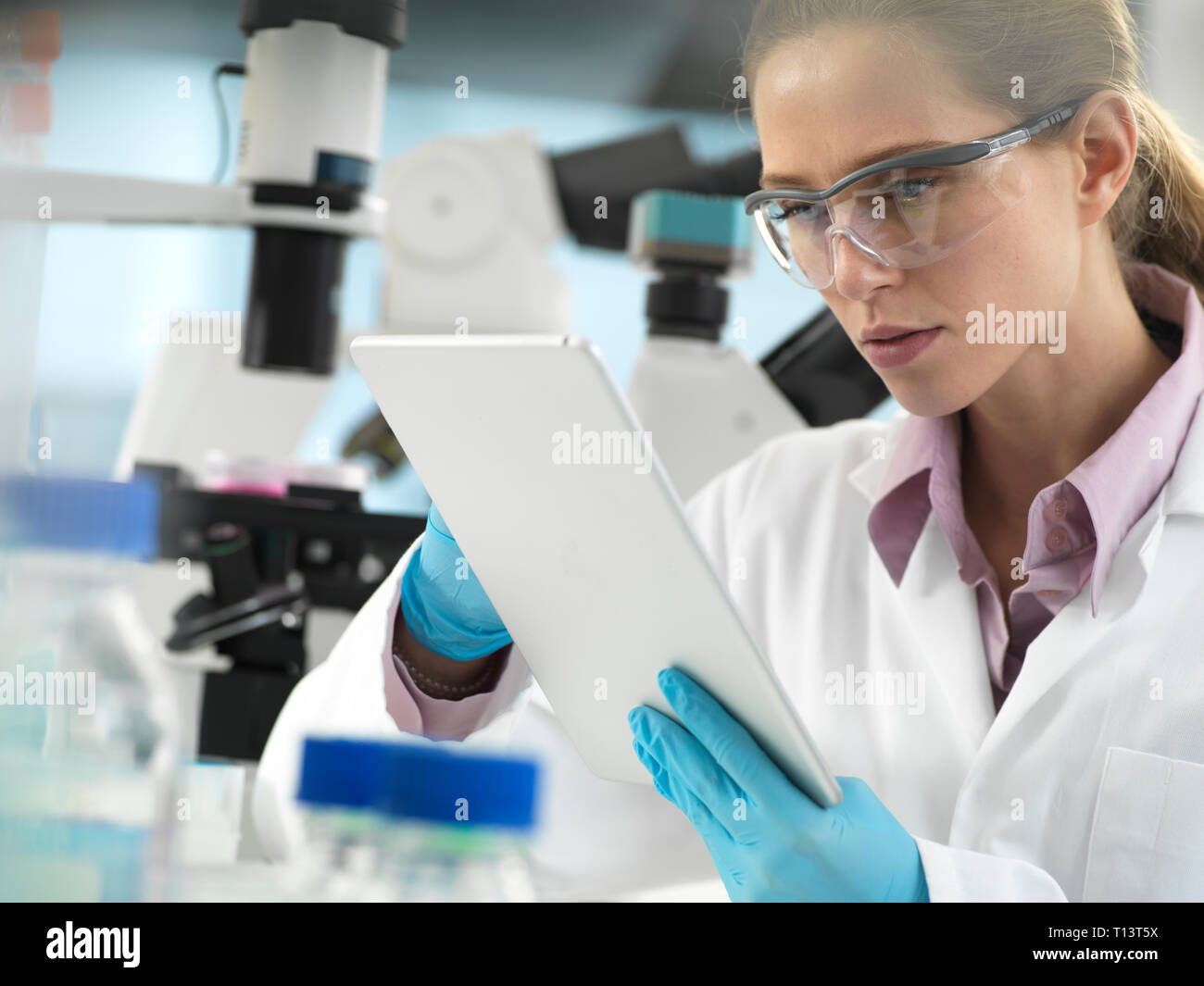 Scienziato per aggiungere dati a una compressa durante un esperimento in laboratorio Foto Stock
