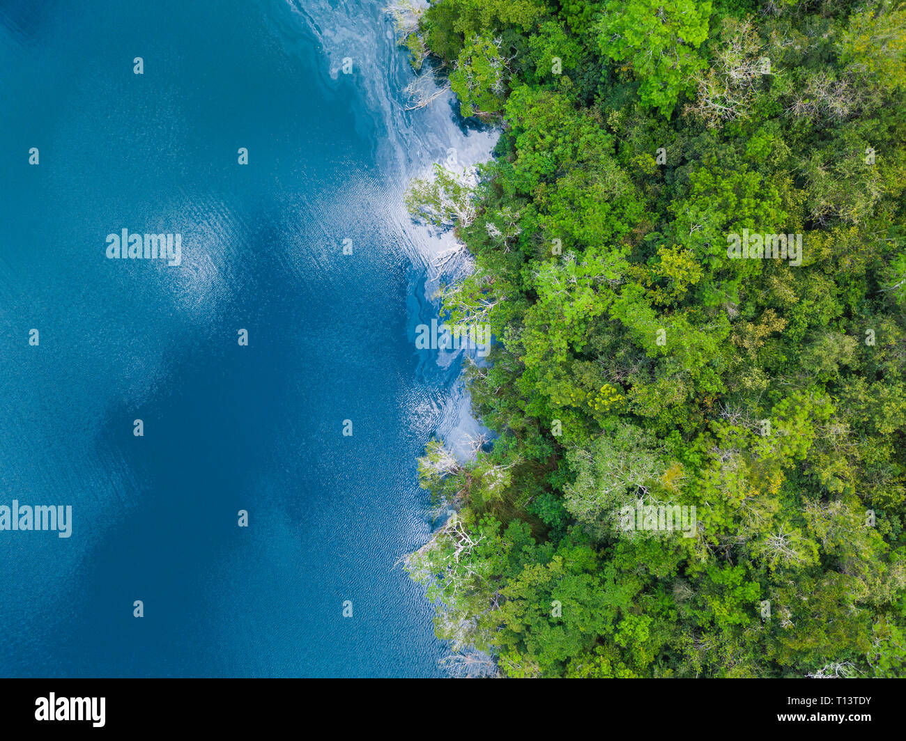Mexiko, Yucatan, Quintana Roo, laguna di Bacalar verde, alberi e il lago, drone immagine Foto Stock