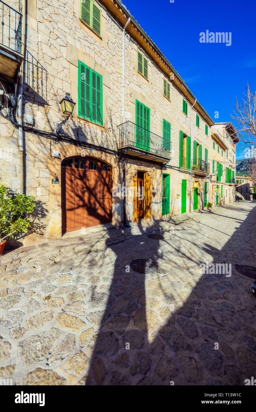 Spagna, Baleares, Mallorca, Valldemossa, ombra di alberi Foto Stock