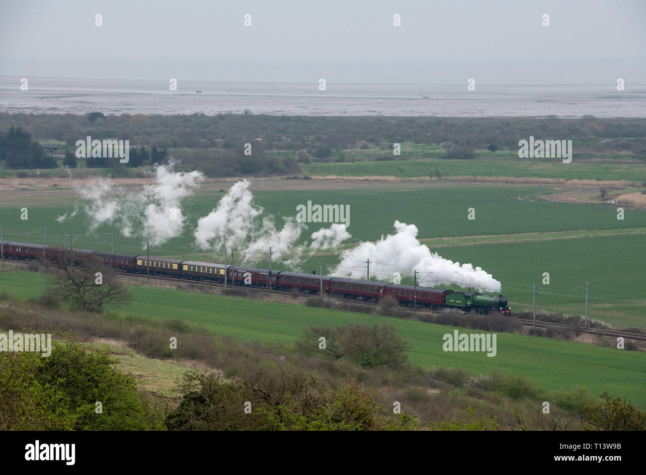 Hadleigh, Essex, Regno Unito. 23 mar 2019. Le grandi Giornate di Steam Railway travel restituito a Essex per un viaggio speciale da Southend on Sea per la ferrovia Bluebell a Sheffield Park East Sussex. Costruito per la London & North Eastern Railway, 61306 Mayflower è uno dei due sopravvissuti di B1 classe locomotive. Il B1's erano concepiti come il traffico misto di locomotori in grado di tirare express treni passeggeri nonché il traffico merci. Credito: MARTIN DALTON/Alamy Live News Foto Stock
