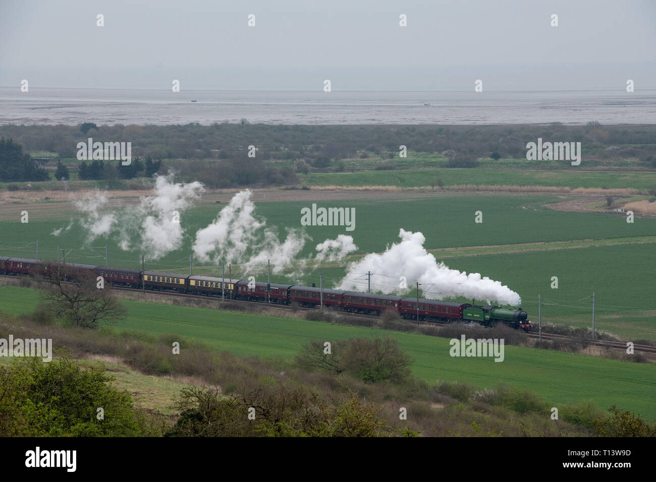 Hadleigh, Essex, Regno Unito. 23 mar 2019. Le grandi Giornate di Steam Railway travel restituito a Essex per un viaggio speciale da Southend on Sea per la ferrovia Bluebell a Sheffield Park East Sussex. Costruito per la London & North Eastern Railway, 61306 Mayflower è uno dei due sopravvissuti di B1 classe locomotive. Il B1's erano concepiti come il traffico misto di locomotori in grado di tirare express treni passeggeri nonché il traffico merci. Credito: MARTIN DALTON/Alamy Live News Foto Stock