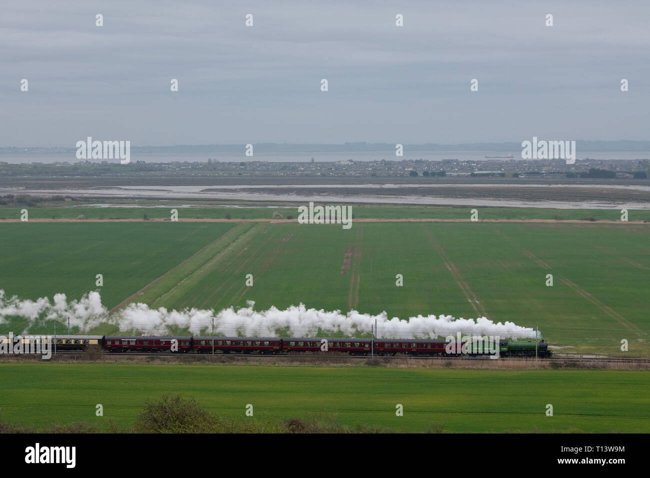 Hadleigh, Essex, Regno Unito. 23 mar 2019. Le grandi Giornate di Steam Railway travel restituito a Essex per un viaggio speciale da Southend on Sea per la ferrovia Bluebell a Sheffield Park East Sussex. Costruito per la London & North Eastern Railway, 61306 Mayflower è uno dei due sopravvissuti di B1 classe locomotive. Il B1's erano concepiti come il traffico misto di locomotori in grado di tirare express treni passeggeri nonché il traffico merci. Credito: MARTIN DALTON/Alamy Live News Foto Stock
