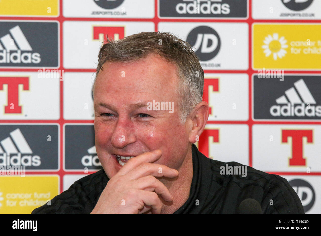 Windsor Park di Belfast, settentrionale, Irlanda. 23 Mar, 2019. Irlanda del Nord manager Michael O'Neill a oggi la conferenza stampa a Belfast. Irlanda del Nord gioca la Bielorussia a Windsor Park domani sera nella loro seconda UEFA EURO 2020 partita di qualificazione. Il venerdì notte Irlanda del Nord ha sconfitto Estonia 2-0 nella loro prima partita di qualificazione. Credito: David Hunter/Alamy Live News Foto Stock