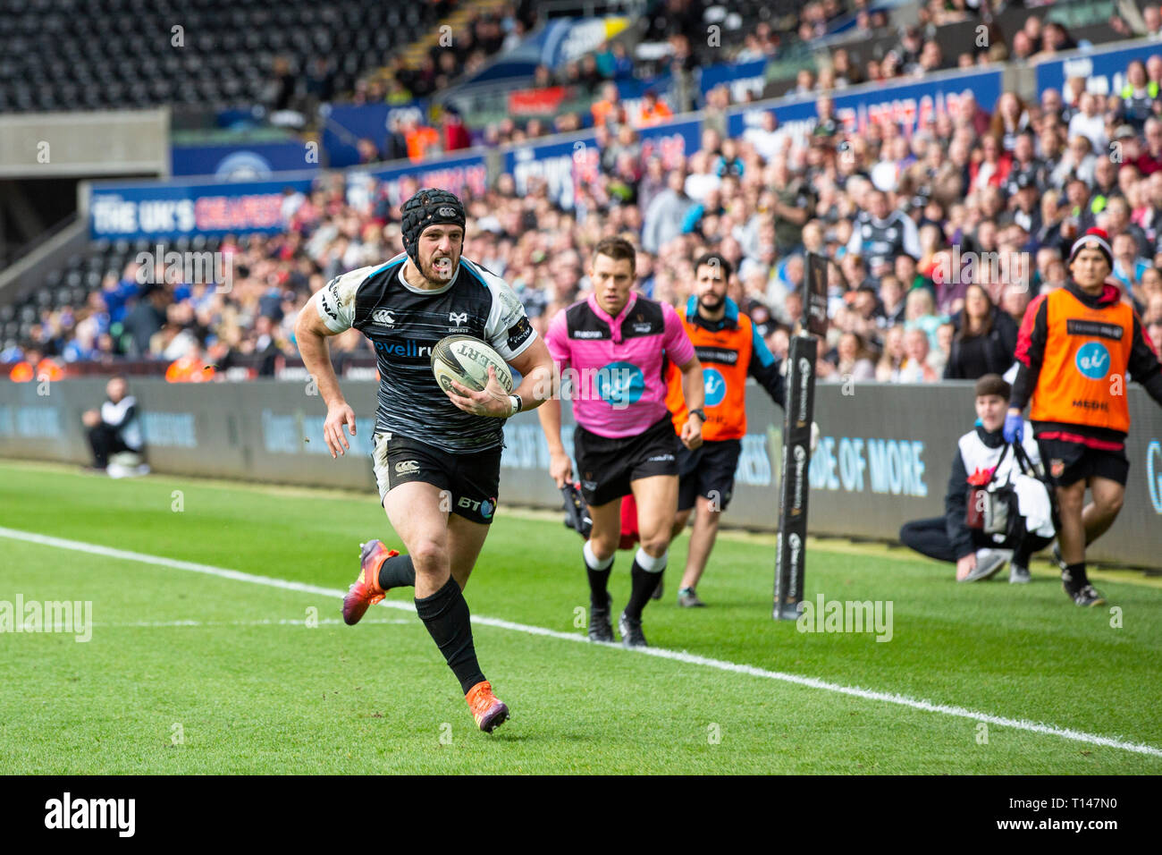 Liberty Stadium, Swansea, Wales, Regno Unito. Sabato 23 marzo 2019. Il falco pescatore fullback Dan Evans passa per una prova nel Guinness Pro14 partita di rugby tra Falchi Pescatori e draghi. Credito: Gruffydd Thomas/Alamy Live News Foto Stock