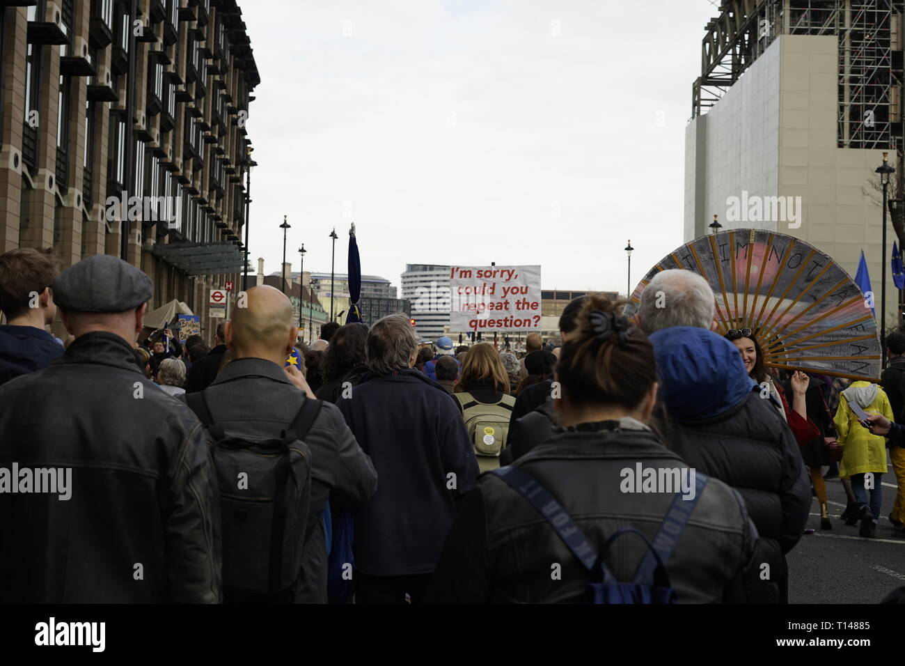 Londra/ Inghilterra - 23 Marzo 2019 - Londra Brexit protesta a Belfast Foto Stock