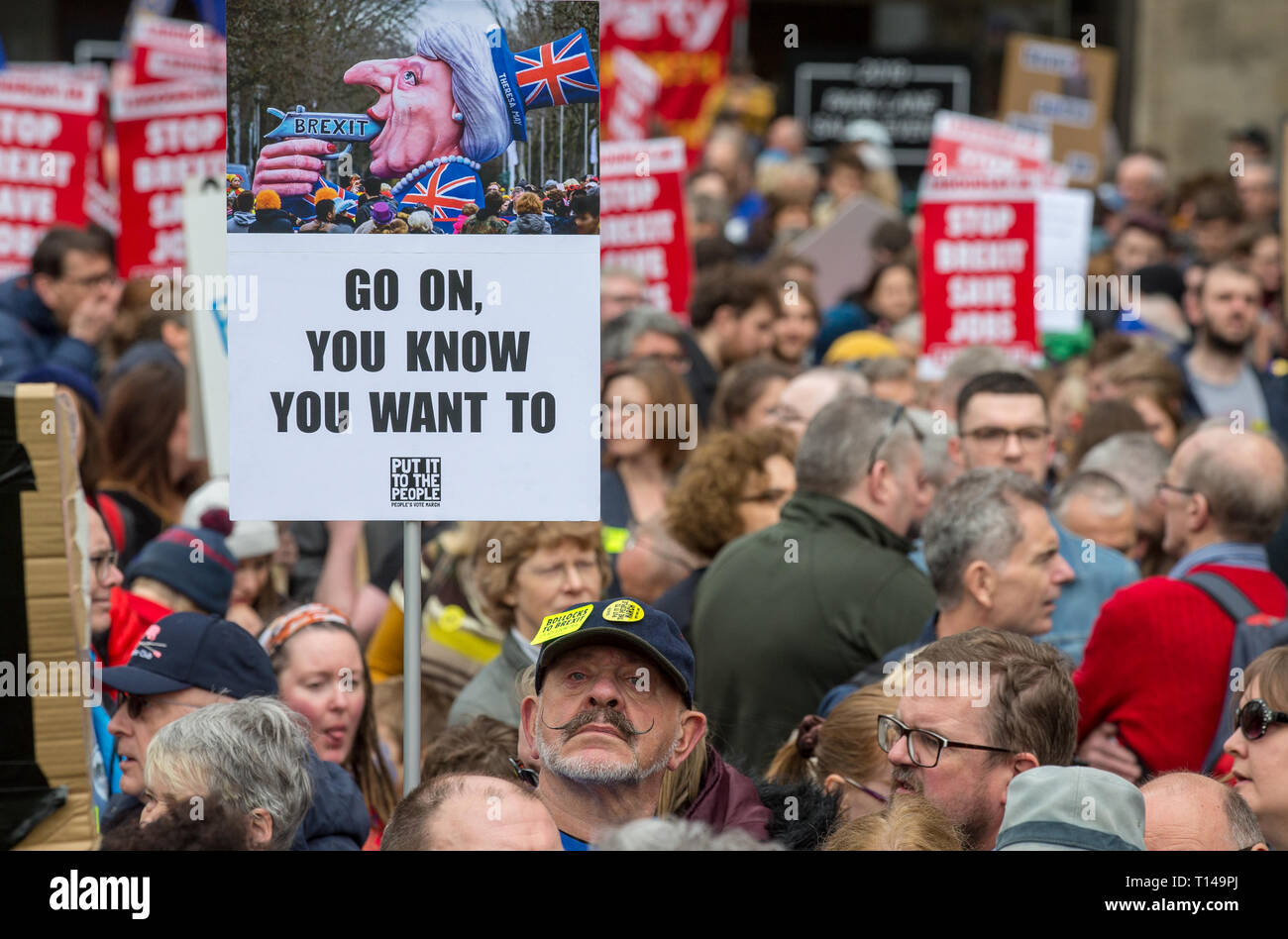 Londra, Regno Unito. 23 marzo, 2019. Migliaia scendono su Londra per metterlo alla gente protesta chiedendo un secondo referendum in un BREXIT marzo in centro a Londra il 23 marzo 2019. Foto di Andy Rowland. Credito: Andrew Rowland/Alamy Live News Foto Stock