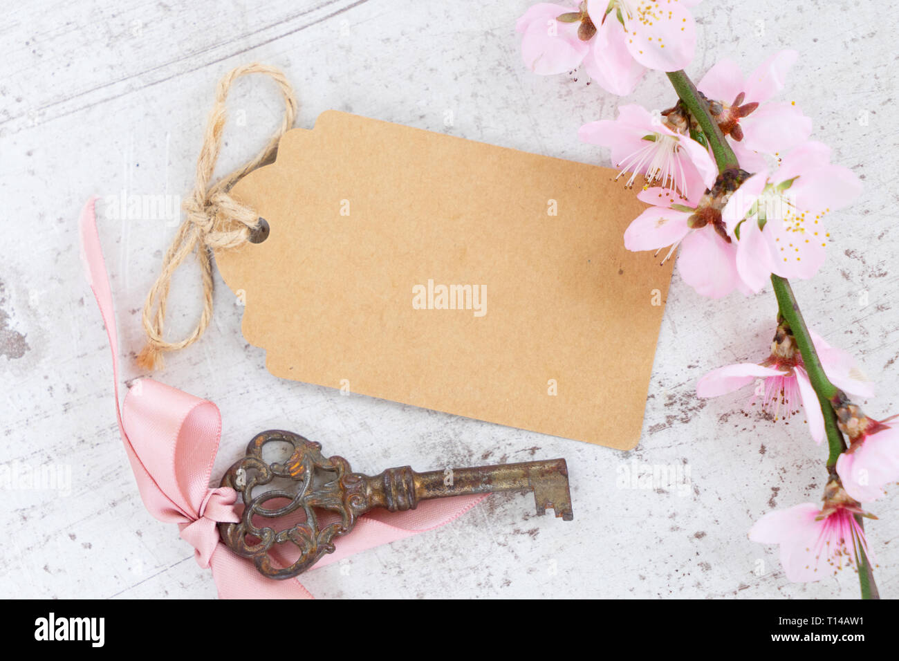 Molla albero di fiori Foto Stock