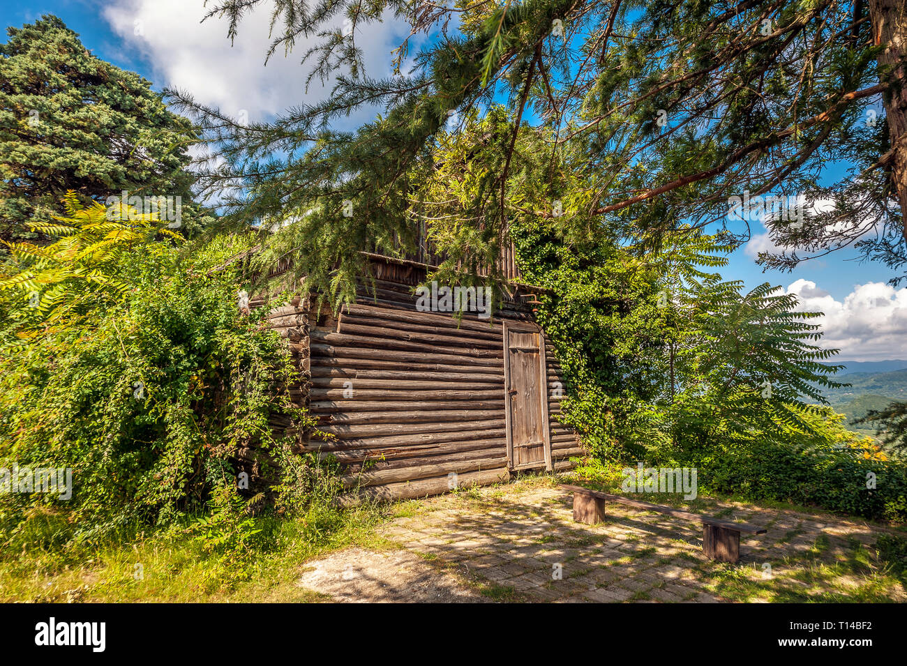 La Russia, Territorio di Krasnodar, Dagomys, villaggio Uch-Dere. Fattoria in legno edifici sulla piantagione della parte più settentrionale del tè in tutto il mondo. Foto Stock