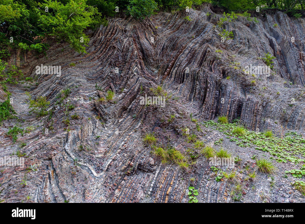 Russia, Regione Krasnodar, la strada a Sochi. La bizzarra geometria dei monti del Caucaso. Multi-colore di strati di calcare in ardesia. Foto Stock