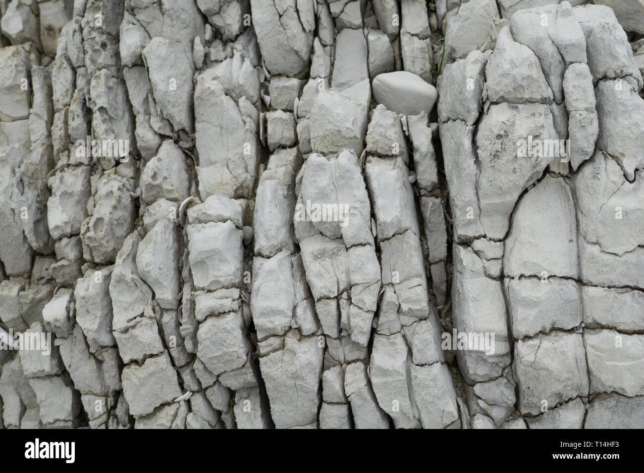 Kaikoura insolite caratteristiche costiere bianco arenaria stratificata forme modelli interessanti Foto Stock