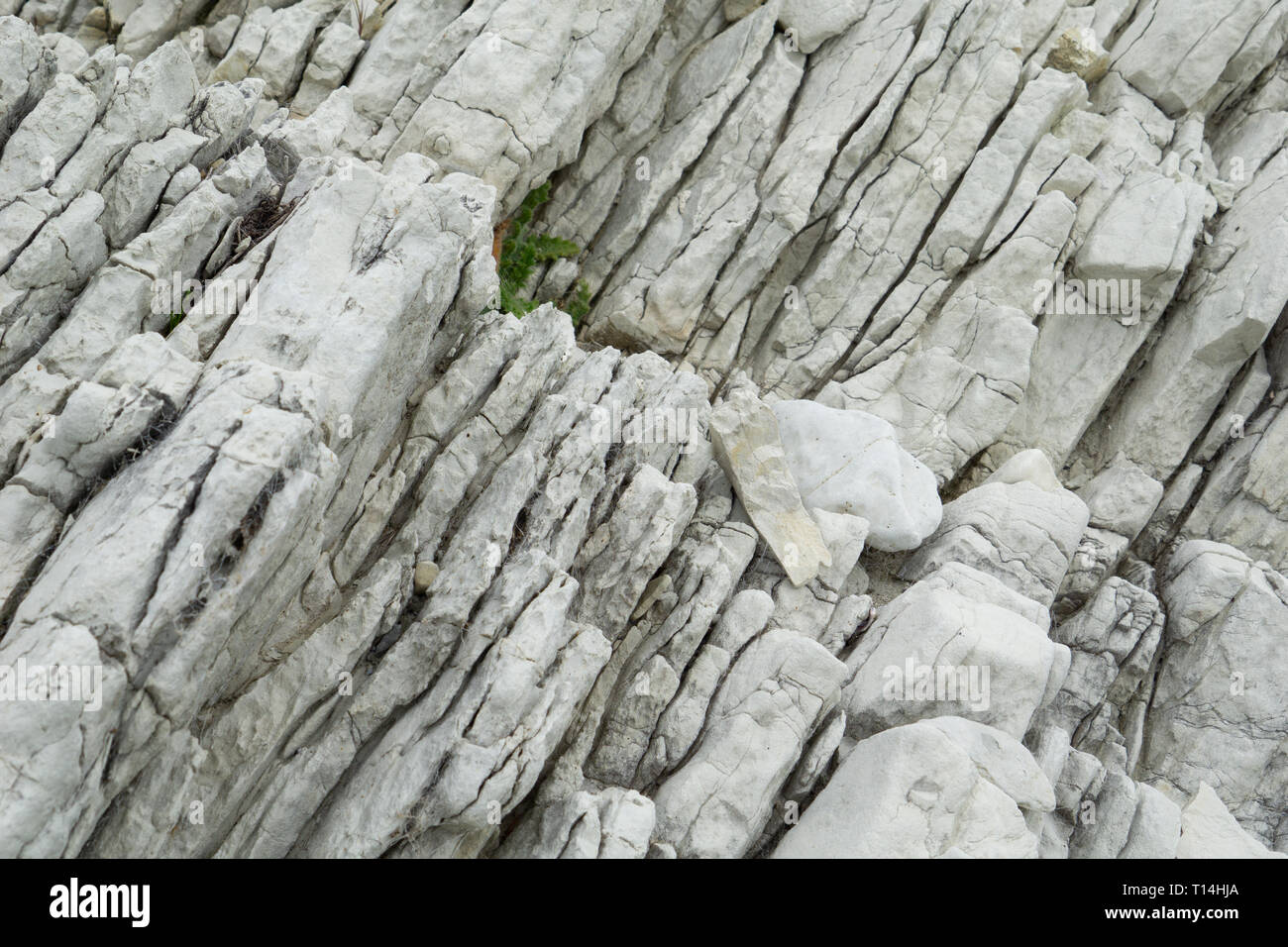 Kaikoura insolite caratteristiche costiere bianco arenaria stratificata forme modelli interessanti Foto Stock