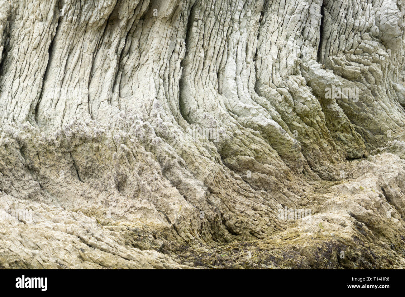 Kaikoura insolite caratteristiche costiere bianco arenaria stratificata forme modelli interessanti Foto Stock