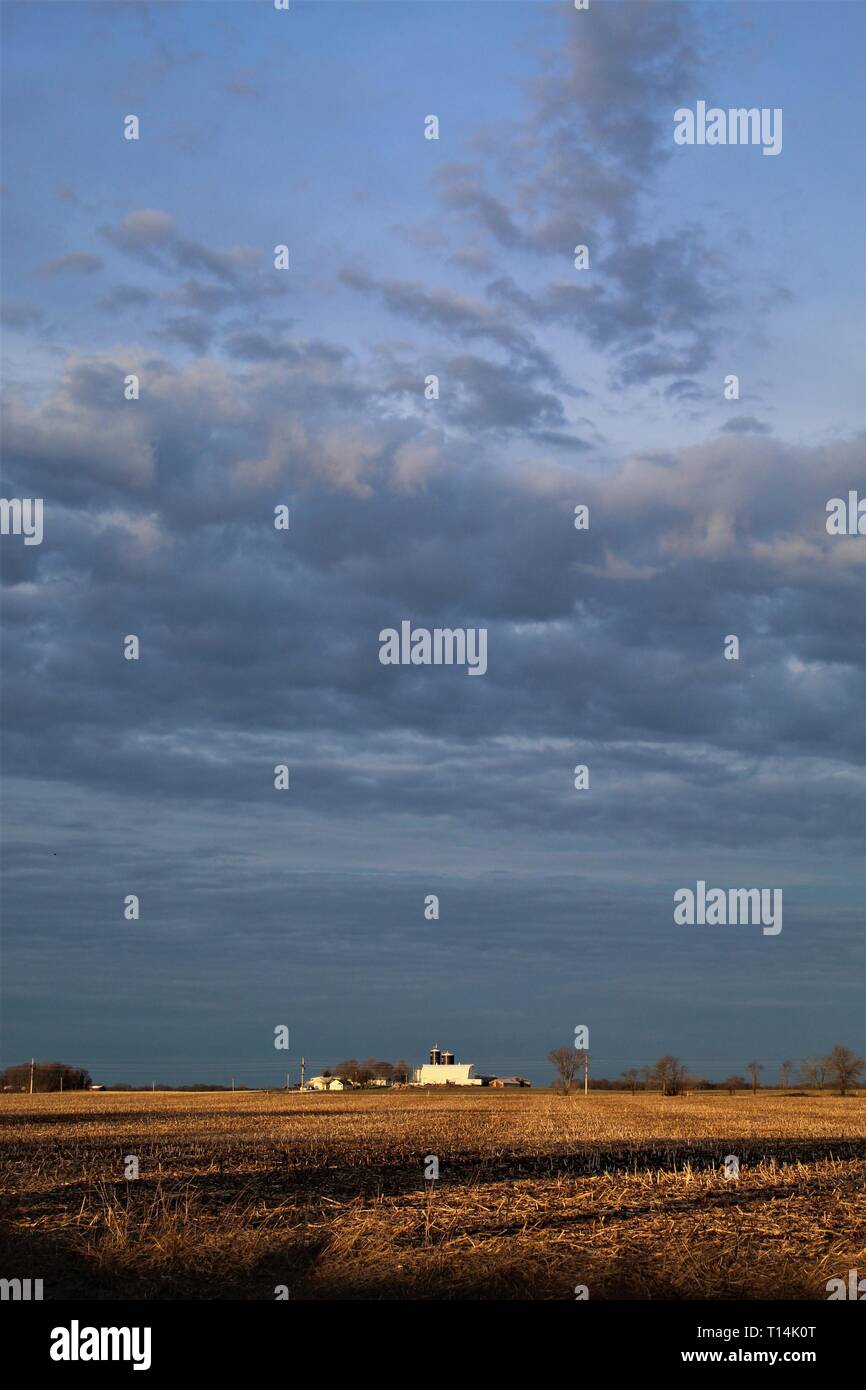 Tempesta si avvicina nel cielo occidentale, all'alba, su Dairy Farm in rural Illinois Foto Stock