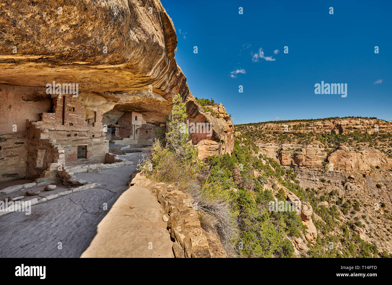 Balcone House, cliff dwellings in Mesa-Verde-Parco Nazionale, sito patrimonio mondiale dell'UNESCO, Colorado, Stati Uniti d'America, America del Nord Foto Stock