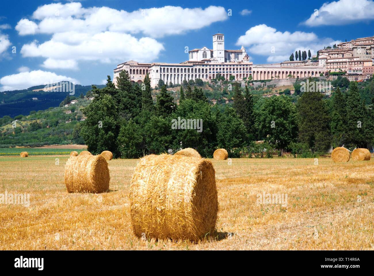 Assisi dal di sotto Foto Stock