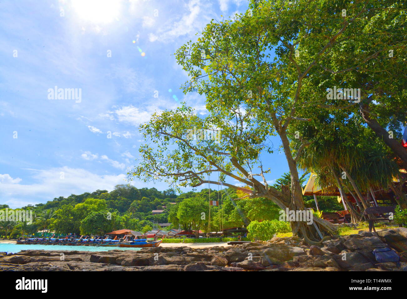 Maya Bay in Ko Phi Phi Le Isola, Provincia di Krabi della Thailandia. Il Sud Est asiatico Foto Stock