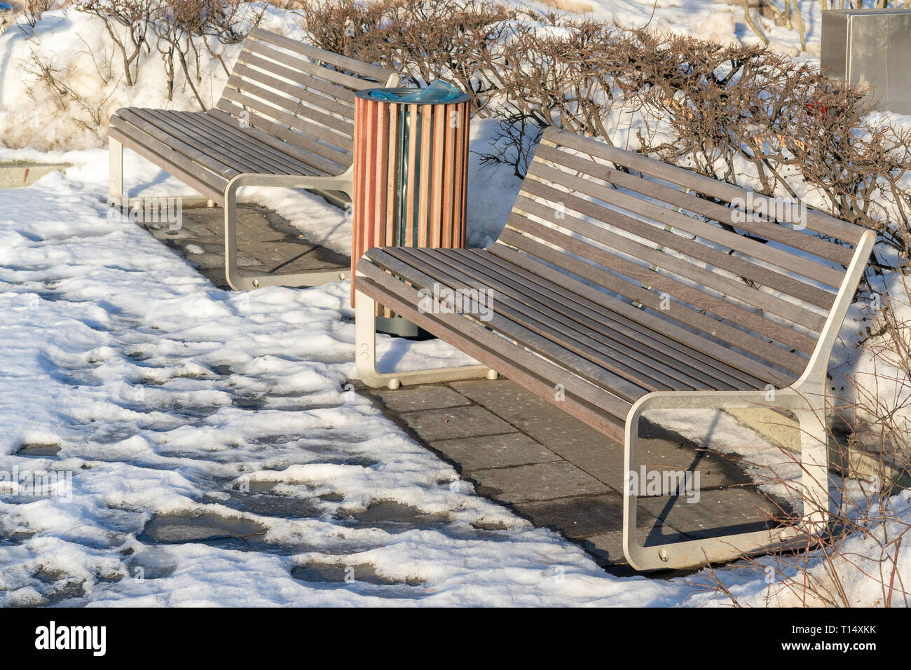 Due panche di legno e un cestino della spazzatura in primavera la sera la luce del sole. Foto Stock