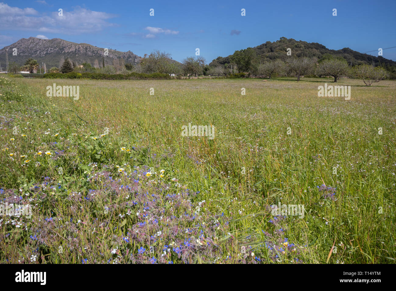 Santuari de Sant Salvador, Arta, Maiorca (Mallorca), isole Baleari, Spagna Foto Stock