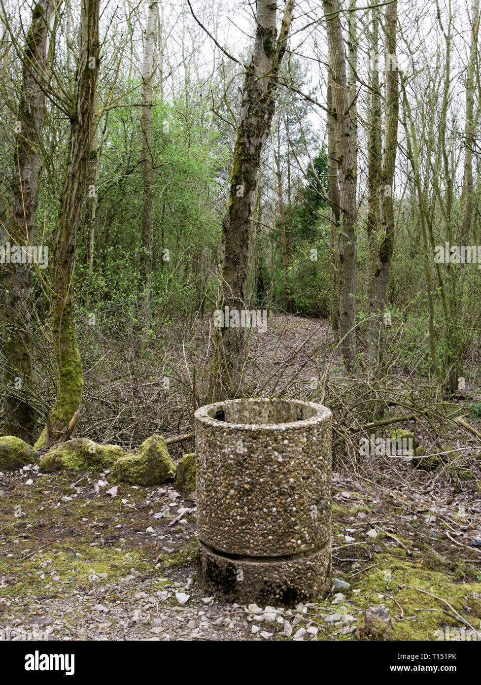 Vecchio cemento bin in un bosco, Festival Park, (sito del Giardino Nazionale Festival 1986), Stoke-on-Trent, Staffordshire, Regno Unito Foto Stock