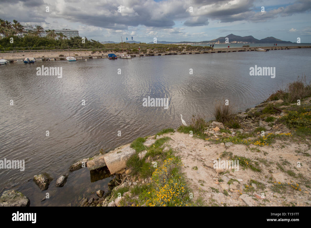 Parque Natural de la Albufera de Mallorca, Can Picafort, Maiorca (Mallorca), isole Baleari, Spagna Foto Stock