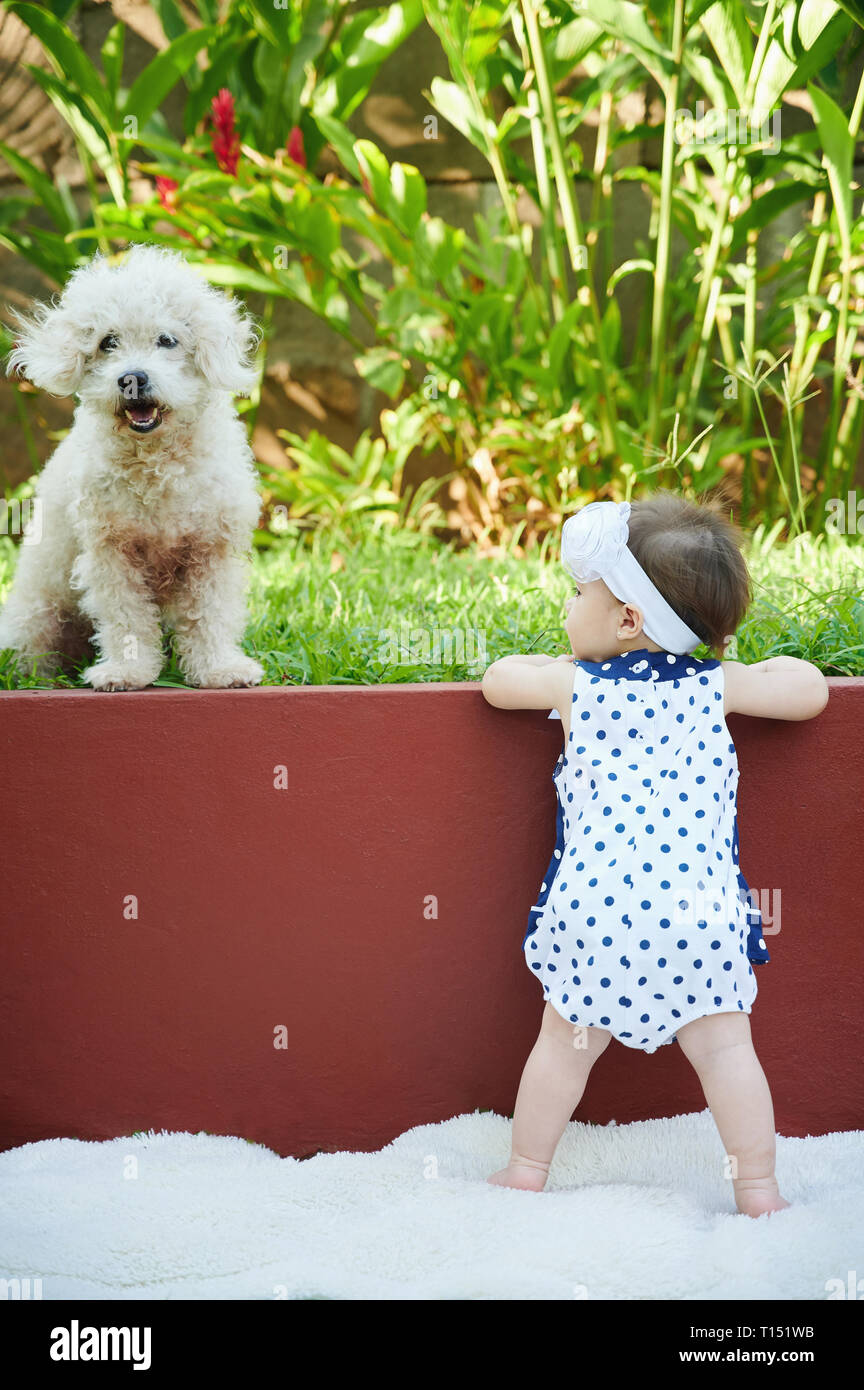 Bambina gioca con cane barboncino fuori in giardino Foto Stock