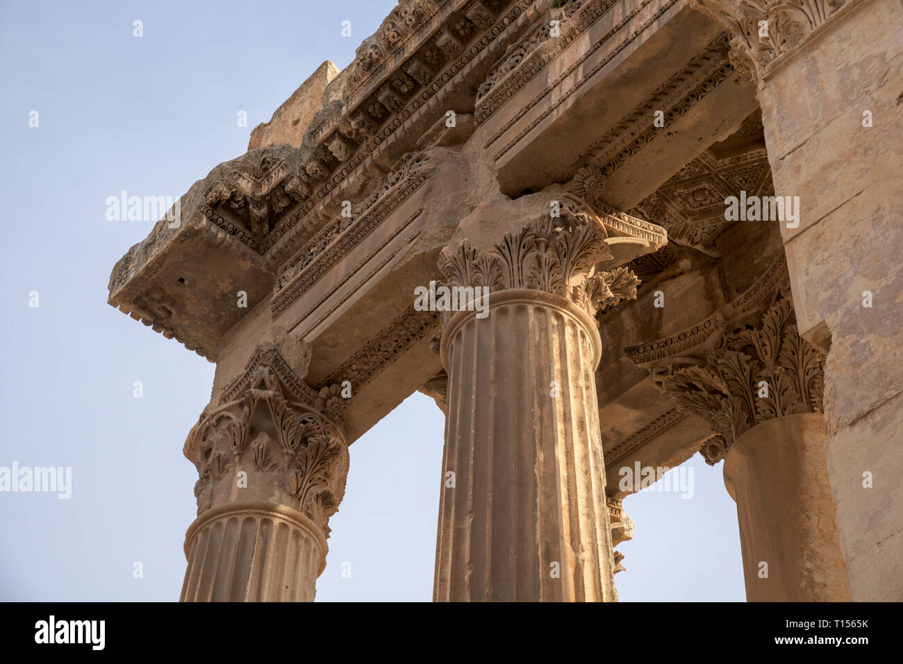 Decorazioni scolpite in un antico tempio romano di Bacco, Baalbek, sito patrimonio dell'umanità il Libano. Foto Stock