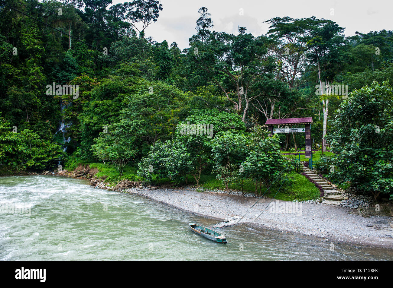 Indonesia, Sumatra, fiume Bohorok prima il Bukit Lawang degli Oranghi di stazione di riabilitazione, Foto Stock