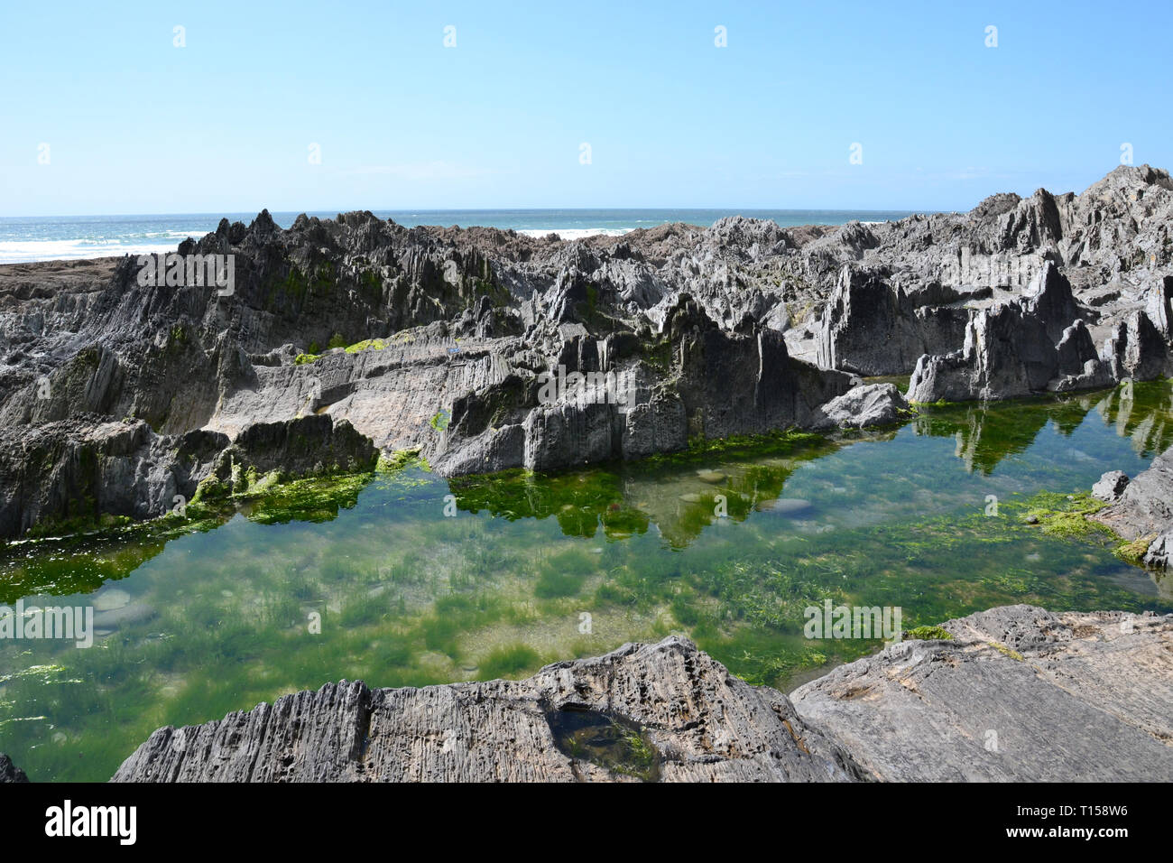 Piscine di roccia in Woolacombe Beach, Woolacombe Bay, Devon, Regno Unito Foto Stock