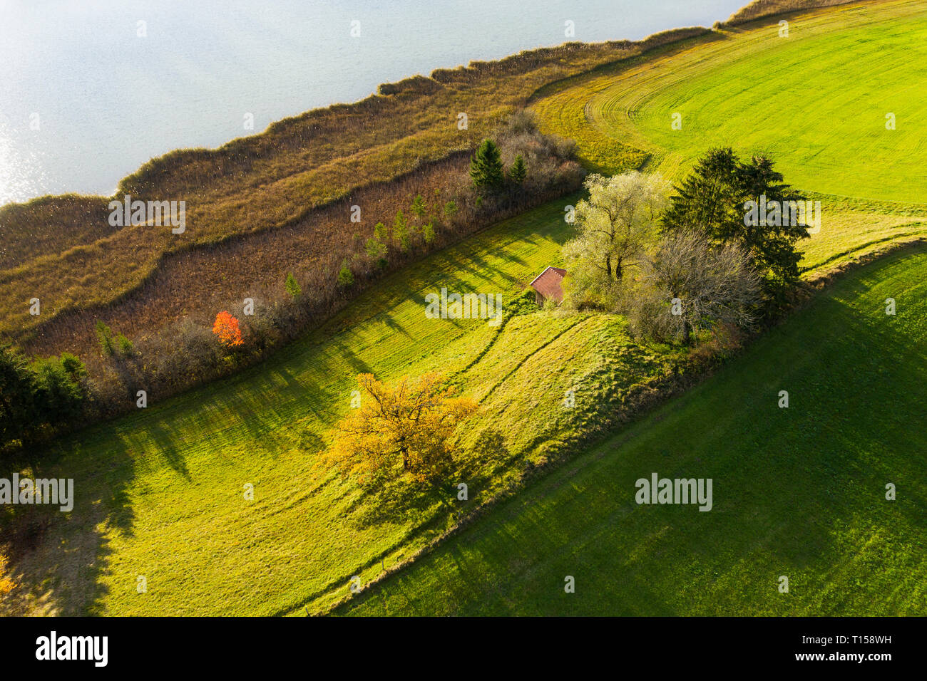 In Germania, in Baviera, Harmatinger Weiher vicino a Egling, nastro a lamelle, drone visualizza Foto Stock