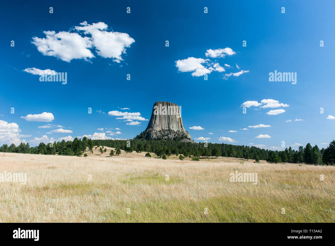 Stati Uniti d'America, Wyoming Devils Tower monumento nazionale Foto Stock