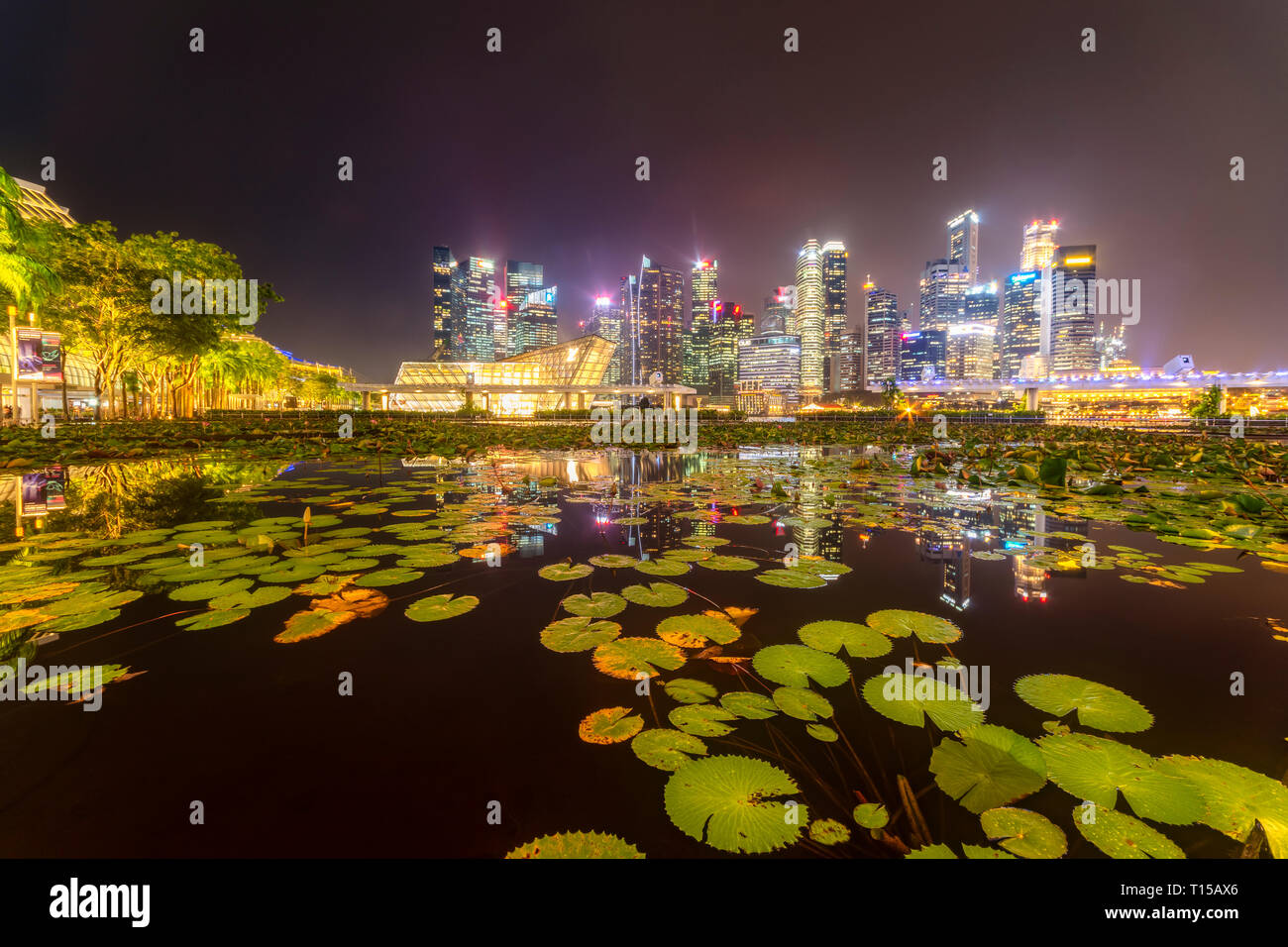Singapore, il quartiere finanziario, alti edifici di notte Foto Stock