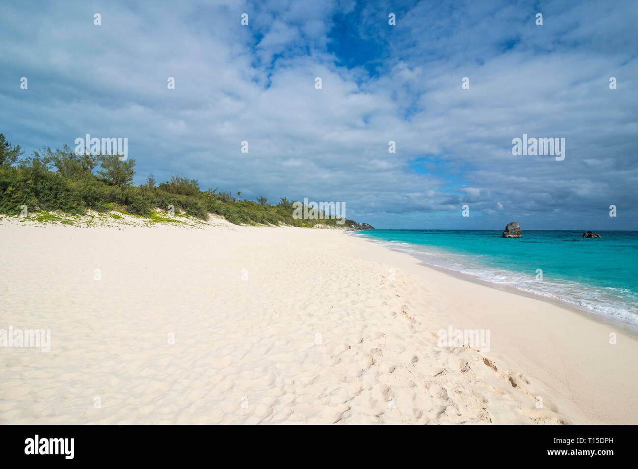 Bermuda, Jobson Bay, la spiaggia di sabbia bianca Foto Stock