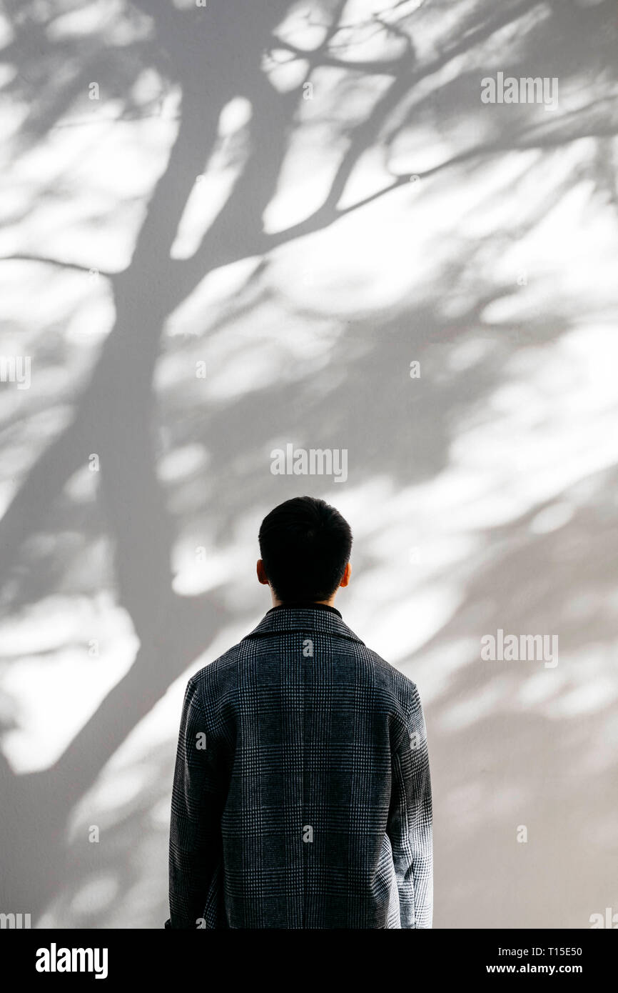 Vista posteriore dell uomo alla ricerca sulla parete ricoperta con ombre di un albero Foto Stock