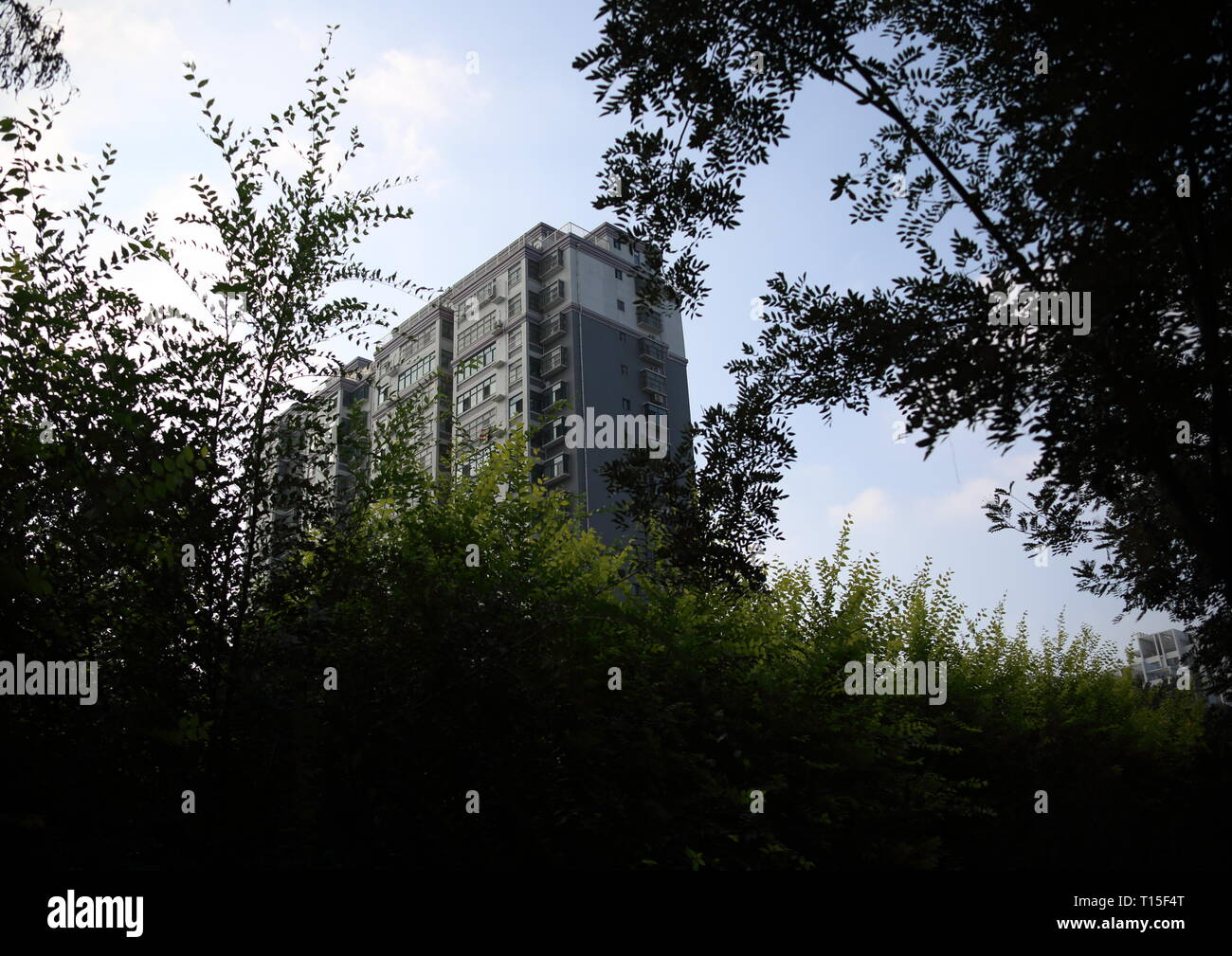 Edificio moderno, Liaocheng Città, Provincia dello Shandong, Cina. Foto Stock