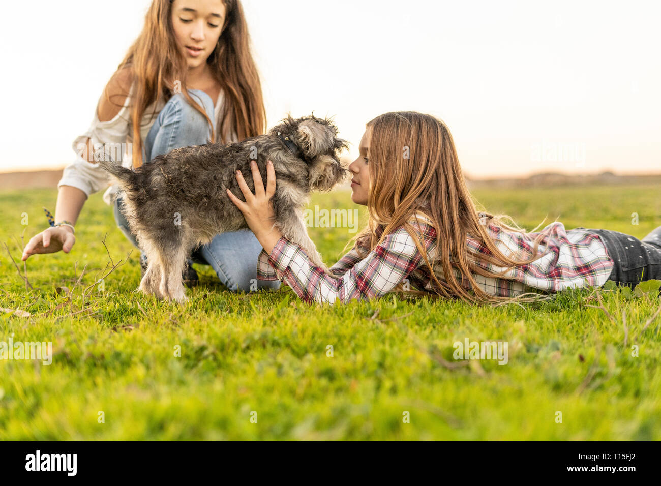 Due ragazze a giocare con il cane su un prato Foto Stock