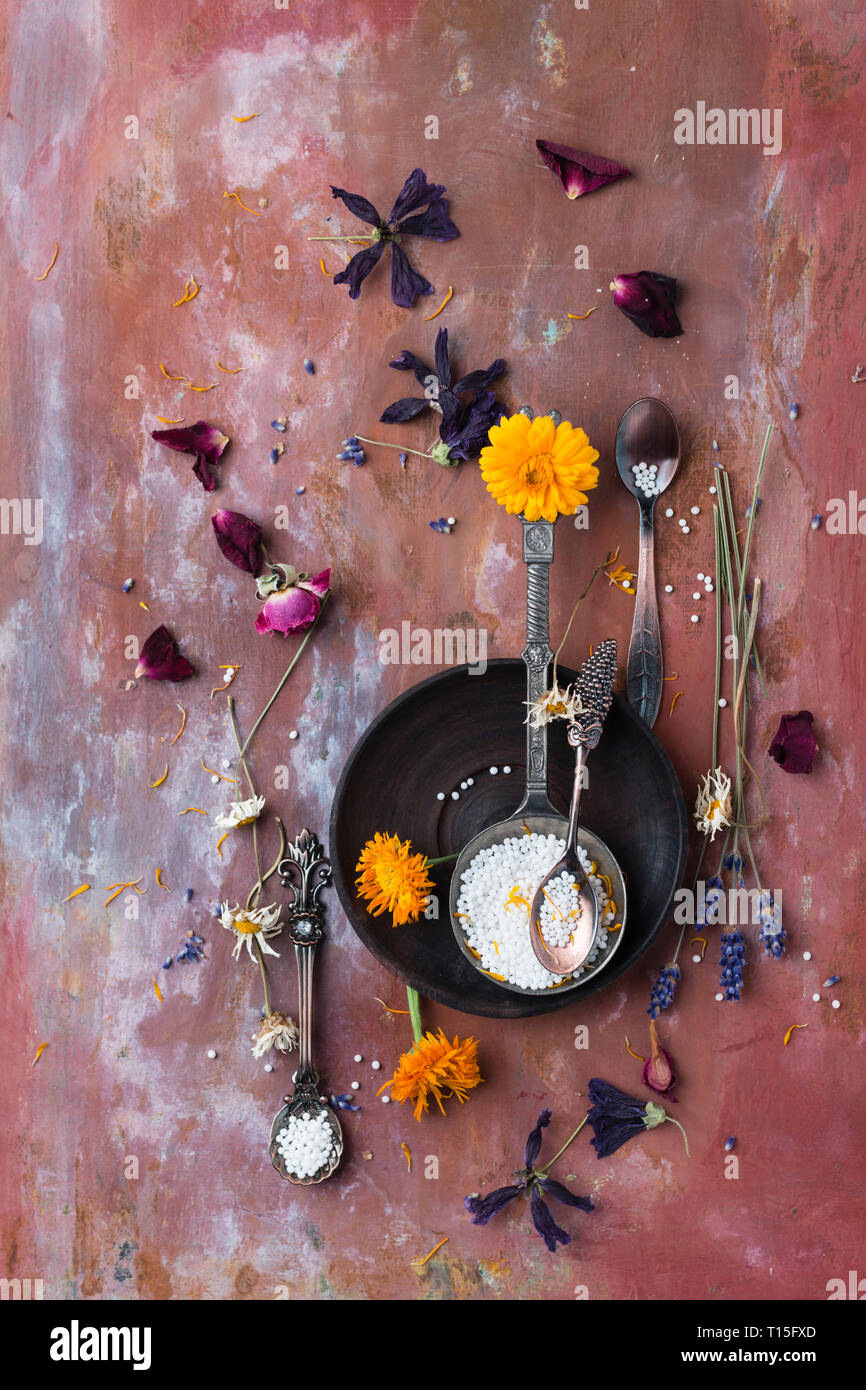 Fioriture di piante medicinali e globuli Foto Stock
