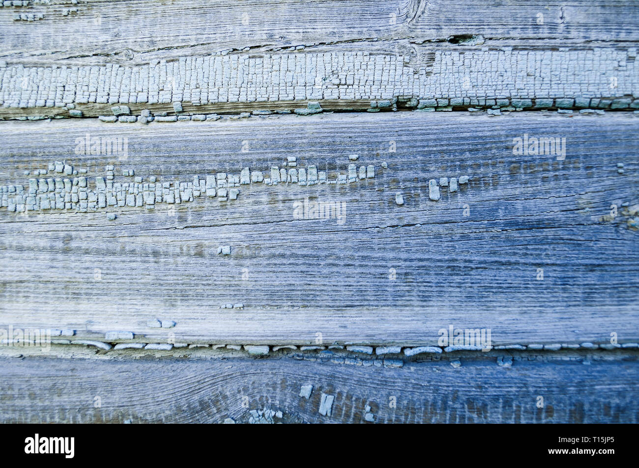 Texture di sfondo di legno - tavole di legno coperto con peeling vecchia vernice di colore blu pallido color Foto Stock