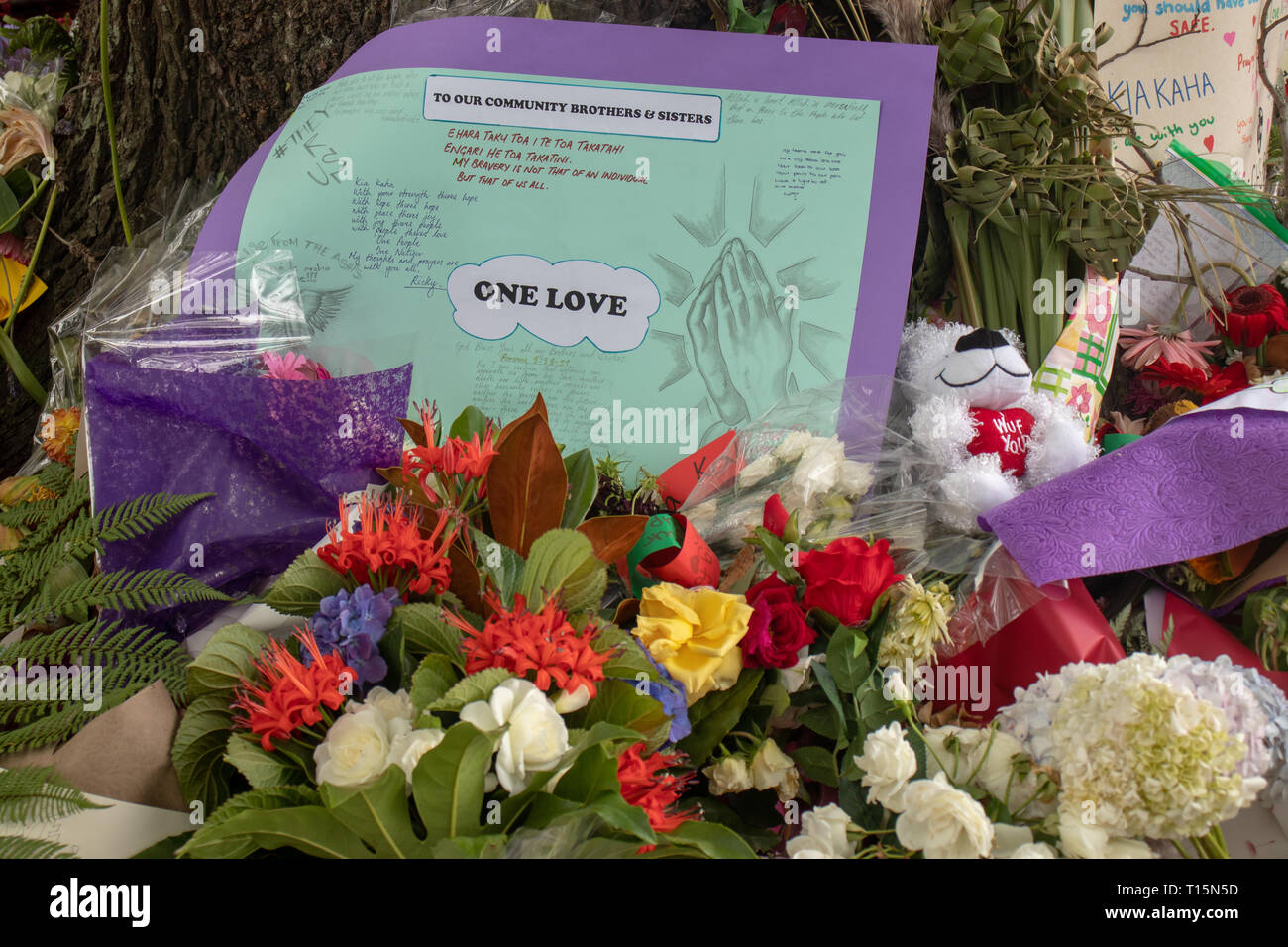 Christchurch, NZ 23 Mar 2019. Fiori e un poster express NZ, il sostegno della sua comunità musulmana in seguito agli avvenimenti dell'15 marzo gli attacchi terroristici. Credito: Claire Chambers/Alamy Live News Foto Stock