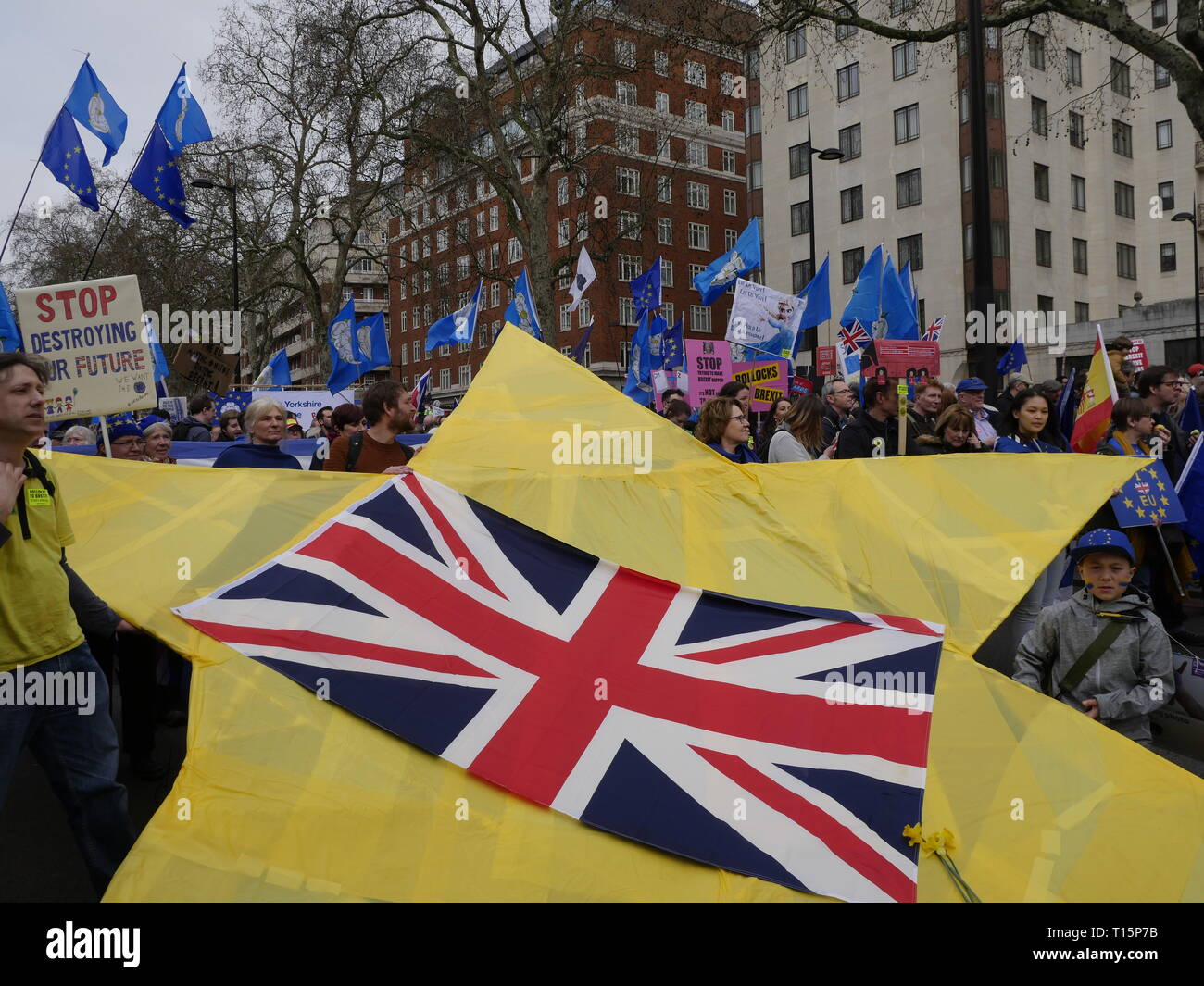 Londra, Inghilterra. 23 marzo, 2019. Migliaia di persone da marzo a Westminster per chiedere un secondo referendum sulla necessità o meno che la Gran Bretagna dovrebbe lasciare l'UE. Credito: Anna Stowe/Alamy Live News Foto Stock