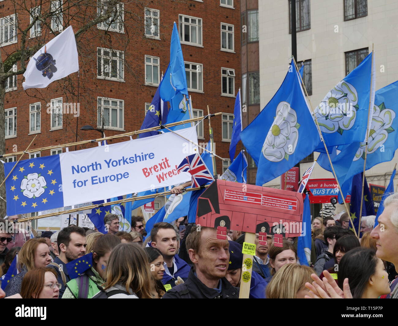 Londra, Inghilterra. 23 marzo, 2019. Migliaia di persone da marzo a Westminster per chiedere un secondo referendum sulla necessità o meno che la Gran Bretagna dovrebbe lasciare l'UE. Credito: Anna Stowe/Alamy Live News Foto Stock