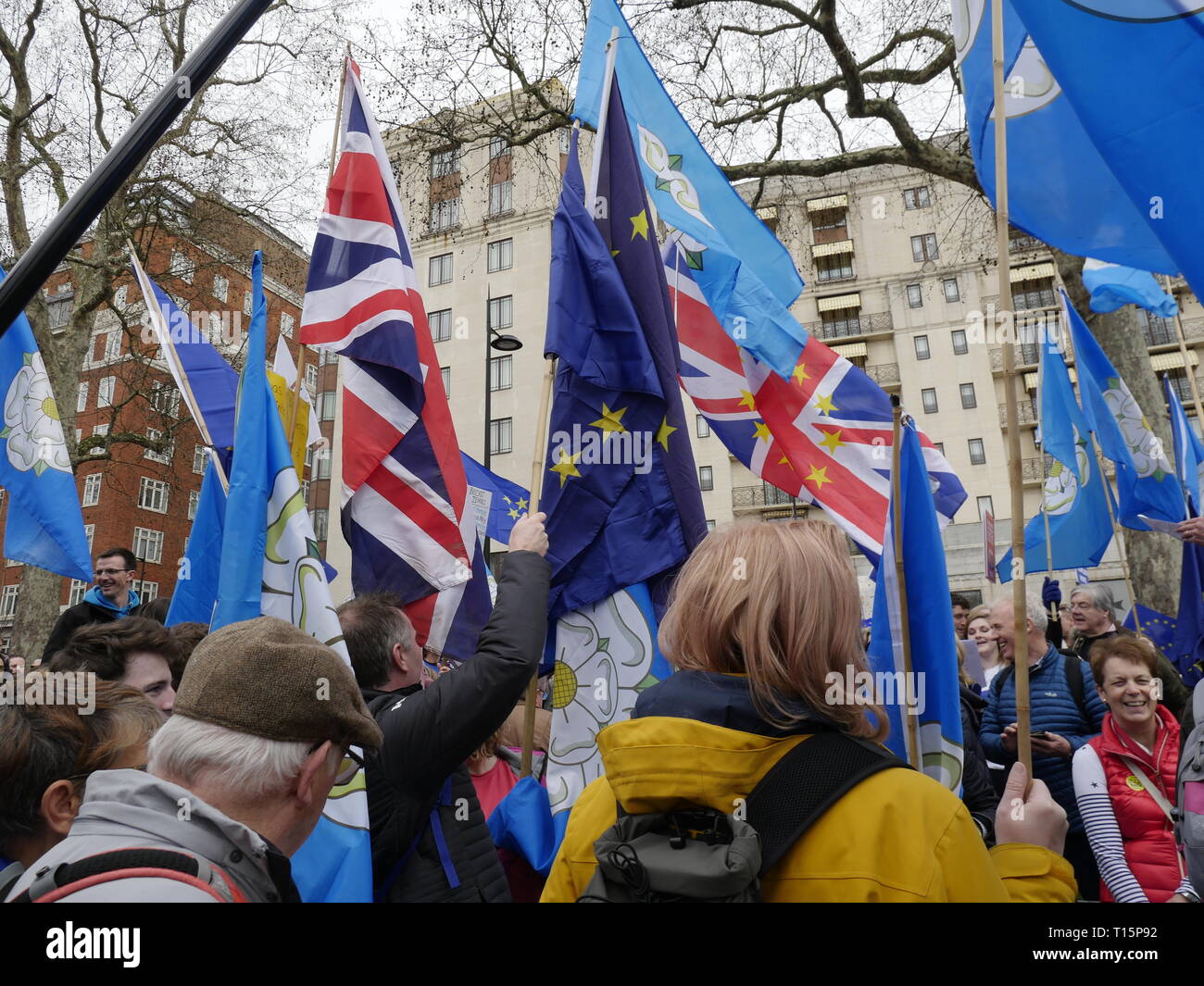 Londra, Inghilterra. 23 marzo, 2019. Migliaia di persone da marzo a Westminster per chiedere un secondo referendum sulla necessità o meno che la Gran Bretagna dovrebbe lasciare l'UE. Credito: Anna Stowe/Alamy Live News Foto Stock
