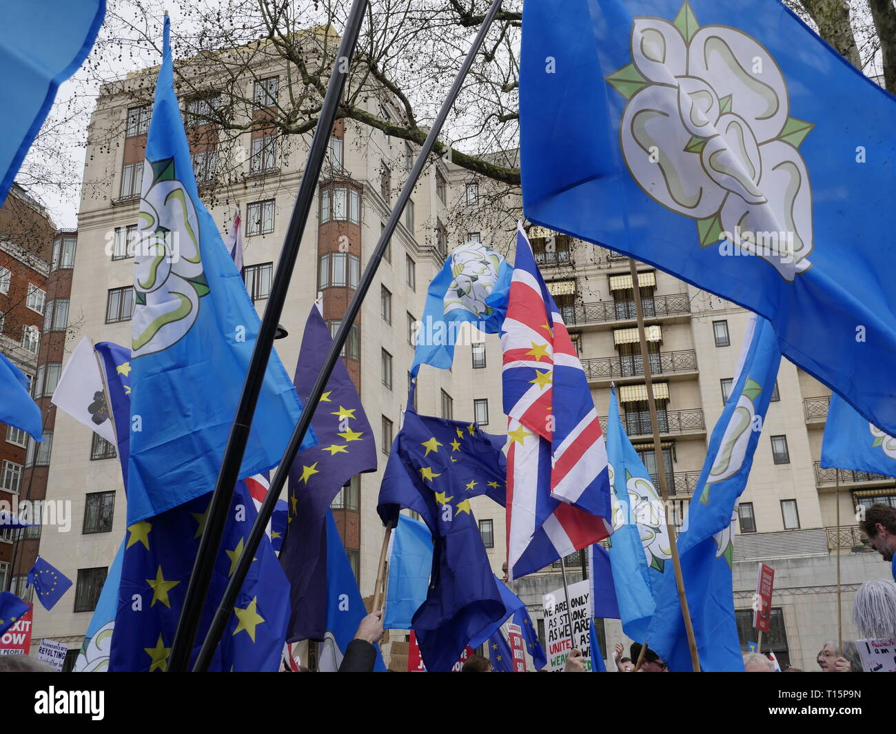 Londra, Inghilterra. 23 marzo, 2019. Migliaia di persone da marzo a Westminster per chiedere un secondo referendum sulla necessità o meno che la Gran Bretagna dovrebbe lasciare l'UE. Credito: Anna Stowe/Alamy Live News Foto Stock