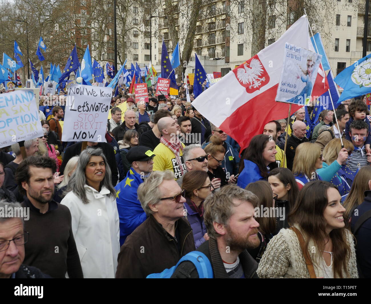 Londra, Inghilterra. 23 marzo, 2019. Migliaia di persone da marzo a Westminster per chiedere un secondo referendum sulla necessità o meno che la Gran Bretagna dovrebbe lasciare l'UE. Credito: Anna Stowe/Alamy Live News Foto Stock